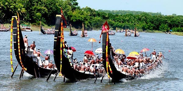 Experience a blend of culture and entertainment with boat races