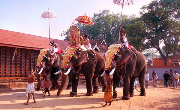 Be a part of the grand festival of elephants
