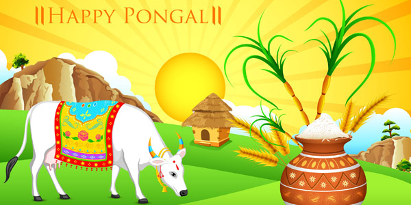 Be captivated with the amazing festive spectacle of Pongal.