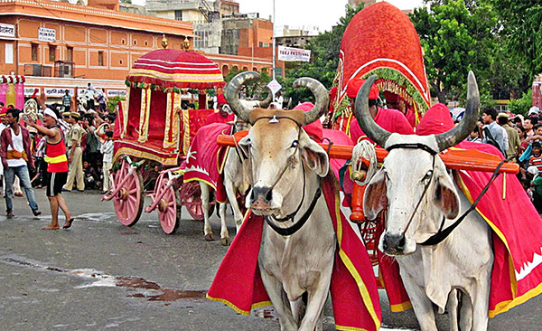 Celebrate the monsoon festival of Teej with the rich culture and traditions of Rajasthan.