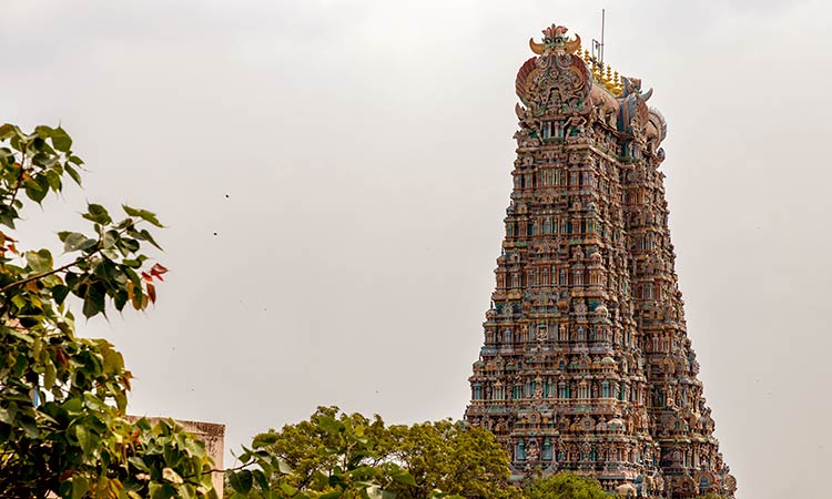 Tamil Nadu tour