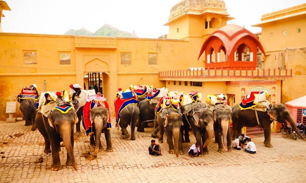 Luxury Trip to Rajasthan