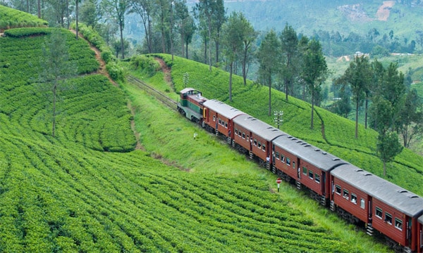 South India Tour By Train