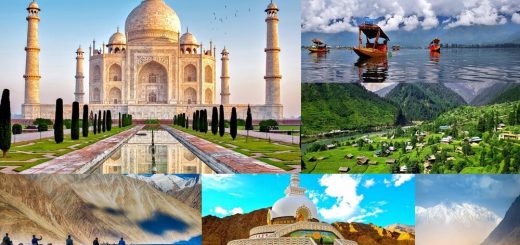 best india tour operators