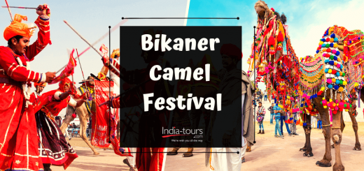 Bikaner Camel Festival Rajasthan