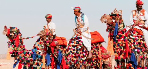 Pushkar Camel Fair Tour