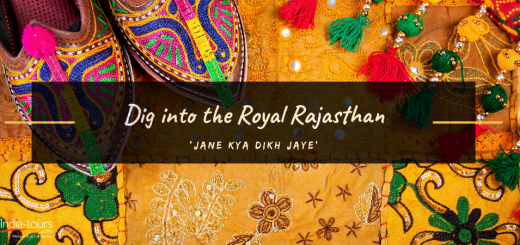 Dig into the Royal Rajasthan