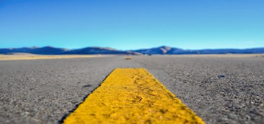 road-trip-experience-of-rajasthan