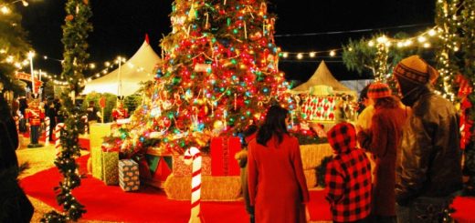 christmas-holidays-in-india