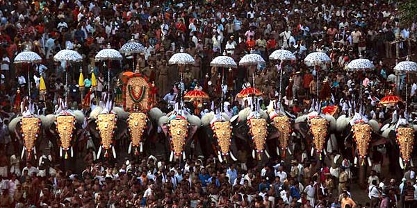 explore the majestic parade of the elephants in Adoor in South India.