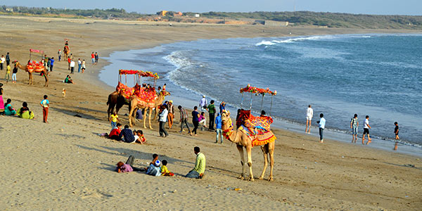 beach festival gujarat