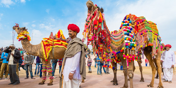 Things to do in Bikaner Camel festival