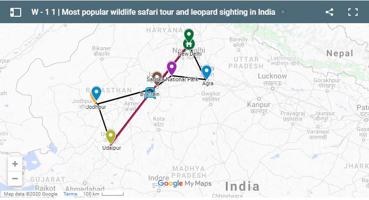 Most Popular Wildlife Safari Tour and Leopard Sighting in India