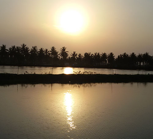 Kolleru Lake, Krishna & West Godavari