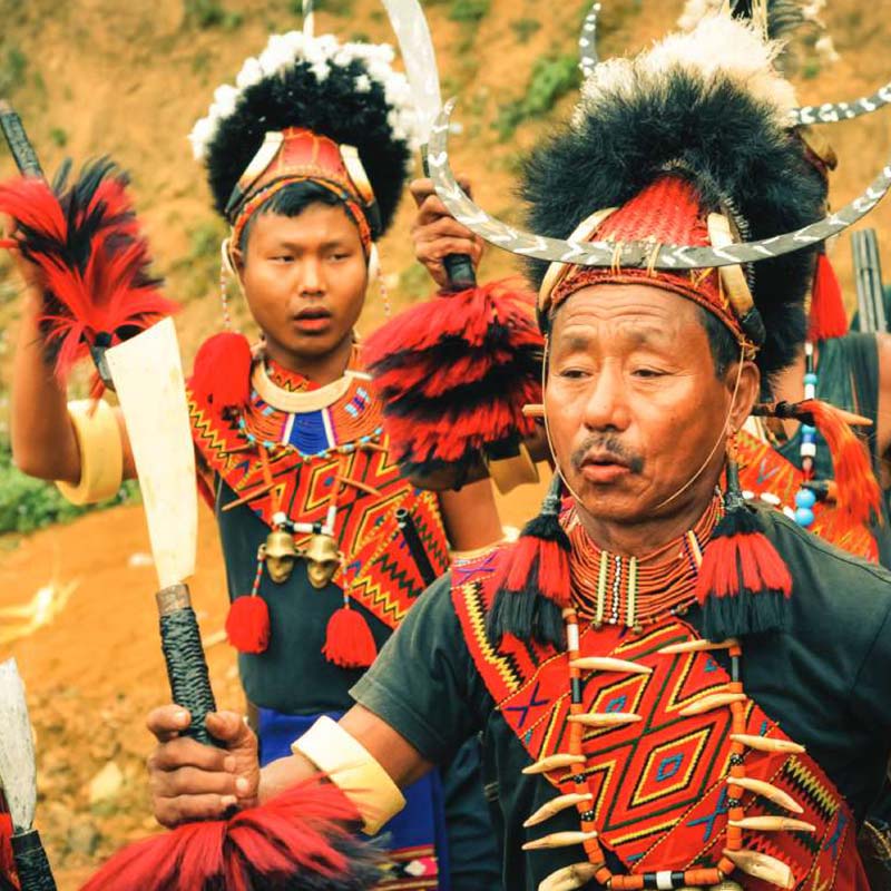 Nagaland heritage villages to wildlife 