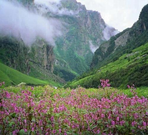 Japfu Peak Japfu Peak
