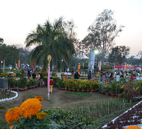 Rabindra Kanan